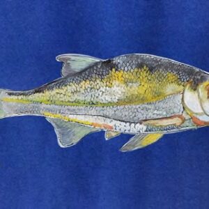 Bream of the Leça River