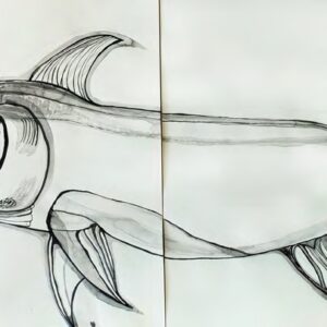 Swordfish