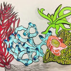 Fauna & Flora #3
